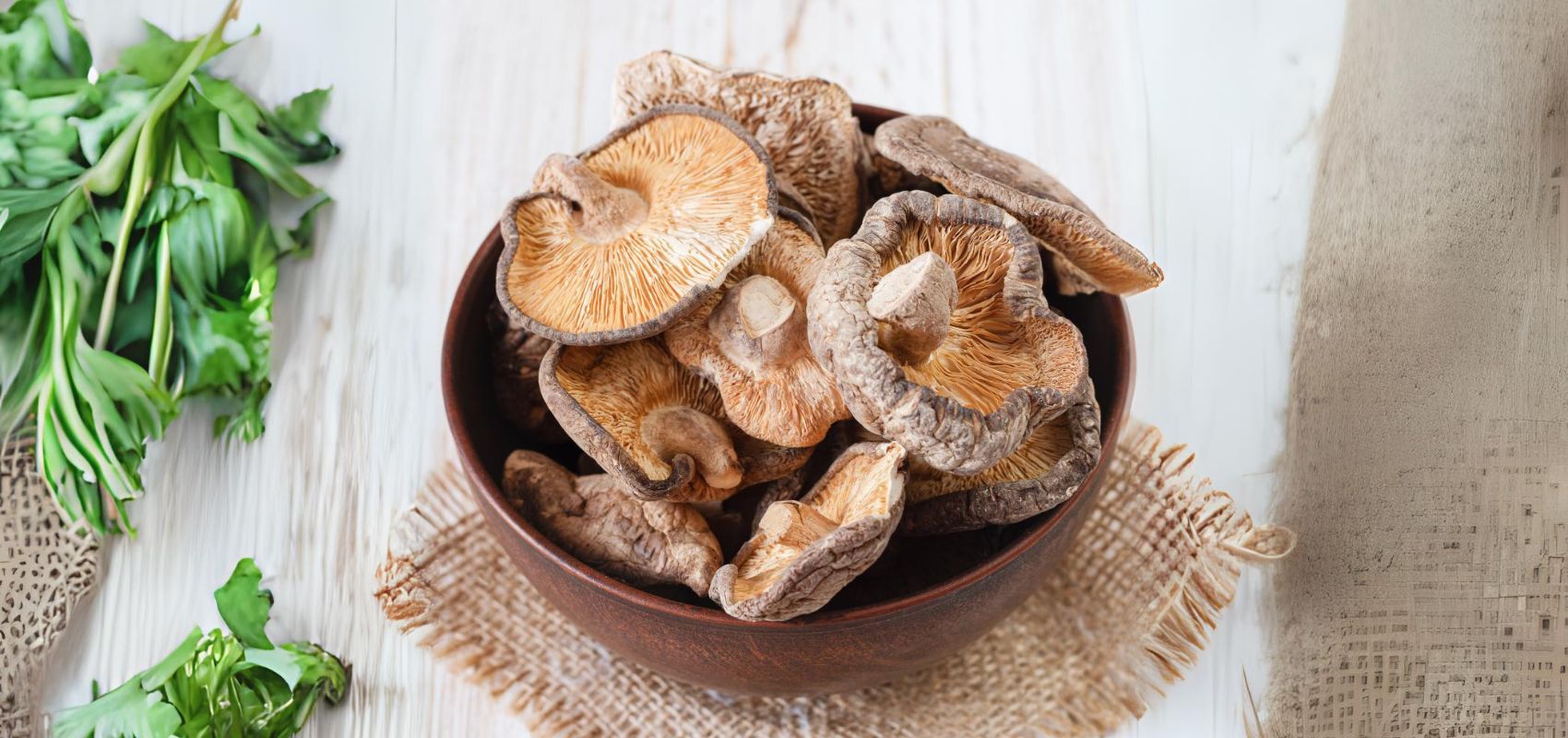 Domowa uprawa grzybów shiitake – praktyczne wskazówki!