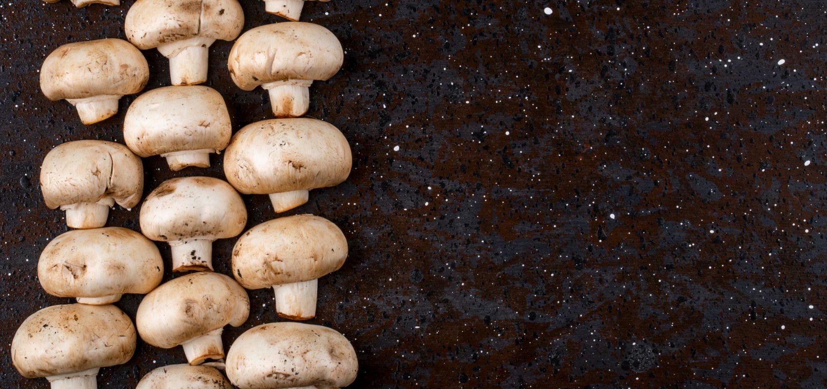 Shiitake, pieczarka, boczniaki – hoduj grzyby w domowym zaciszu!