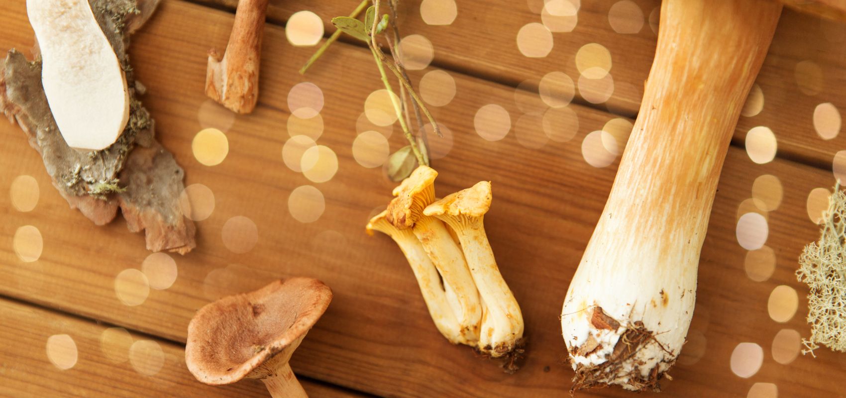 Czy grzyby mogą wspierać sen i regenerację organizmu?